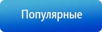 Дэнас комплект выносных электродов